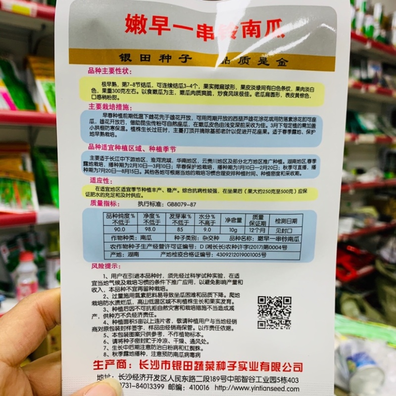 嫩早一串铃嫩南瓜种子果实微扁球形一串玲南瓜种籽嫩瓜爽脆