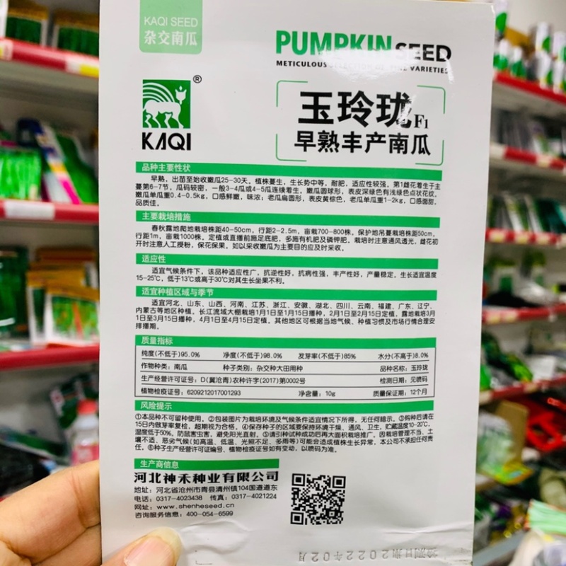 卡其玉玲珑一串铃南瓜种子嫩瓜绿色早熟嫩南瓜籽种