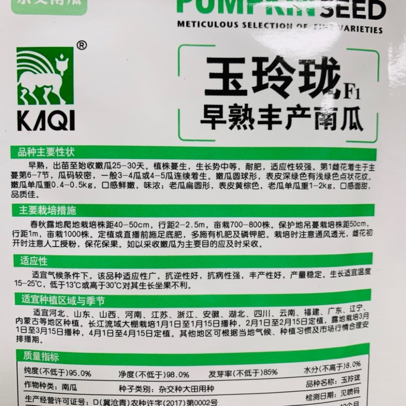 卡其玉玲珑一串铃南瓜种子嫩瓜绿色早熟嫩南瓜籽种