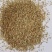 进口草种花种野花组合。花海施工播种，技术指导