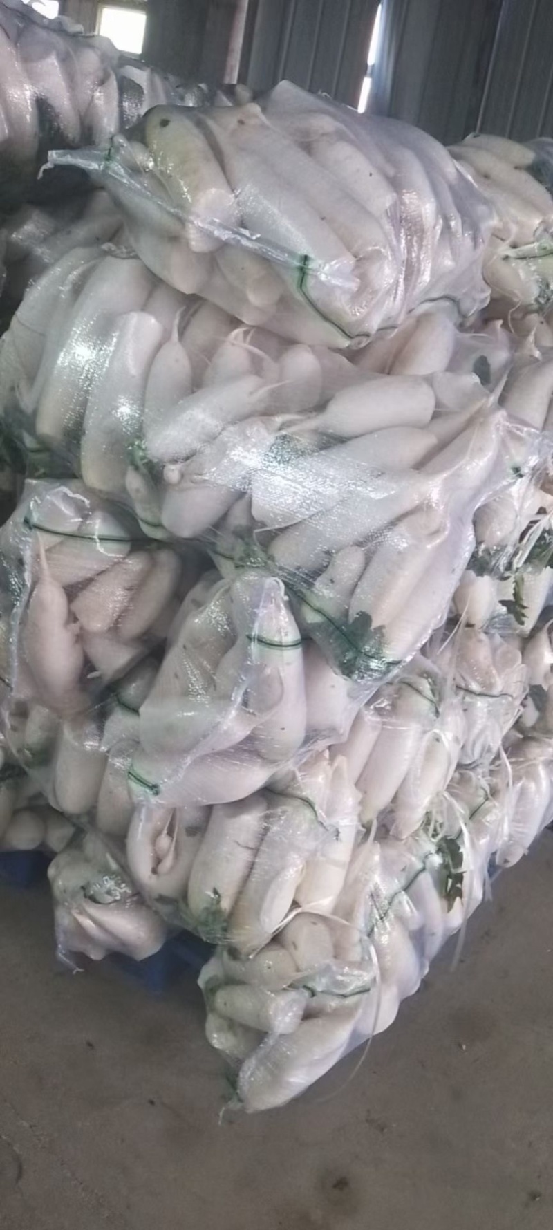 白萝卜渣货大量有货欢迎各地客商前来咨询采购