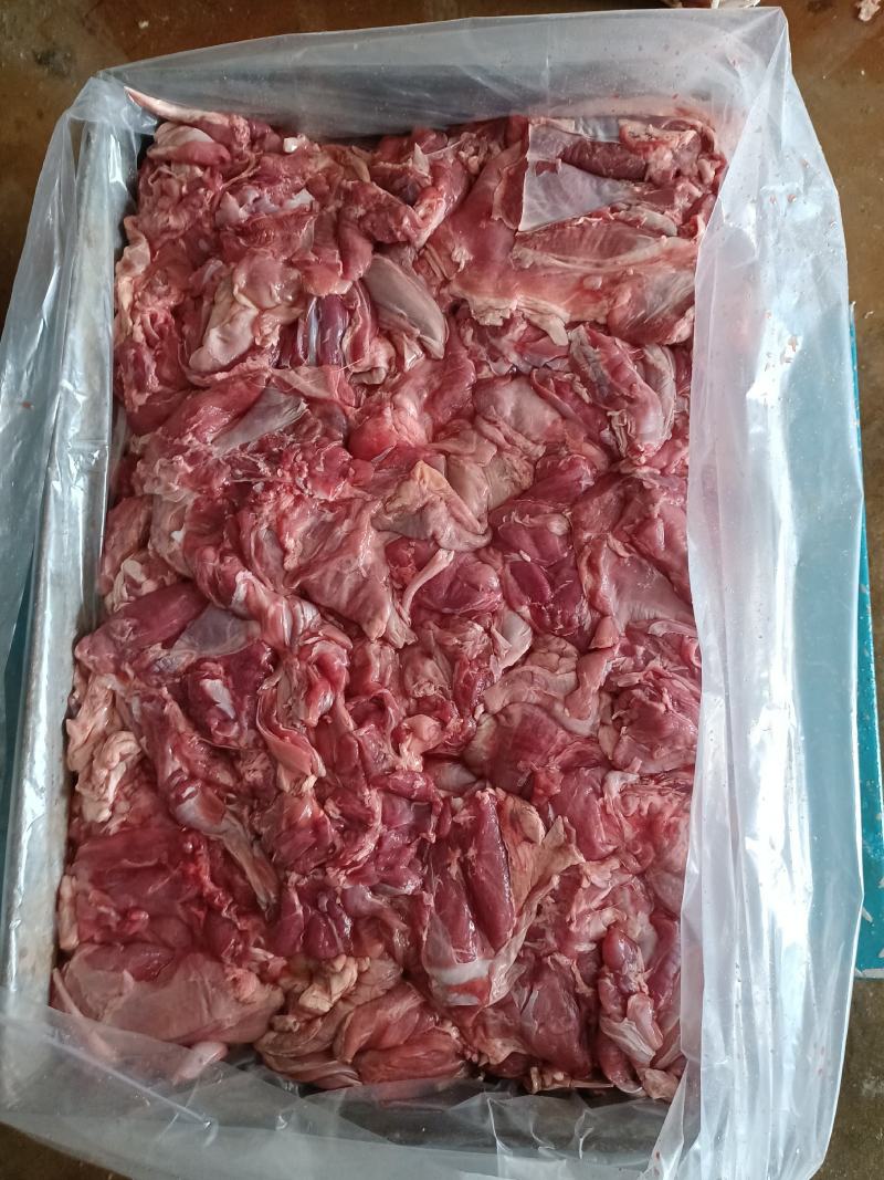 羊腿肉板冻羔羊腿肉纯干无水不调理大量现货，可加工制