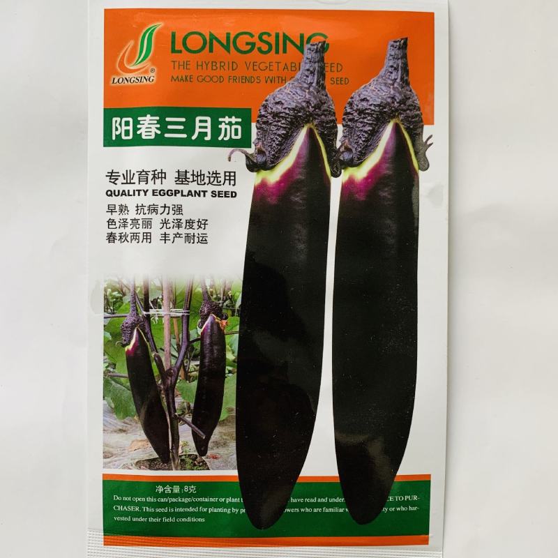 三月茄种子春秋两用茄子种子育苗专用丰产果皮紫黑色长茄种