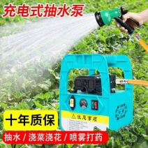 小型充电式抽水泵家用浇菜神器浇水机农用浇地户外田园灌溉抽