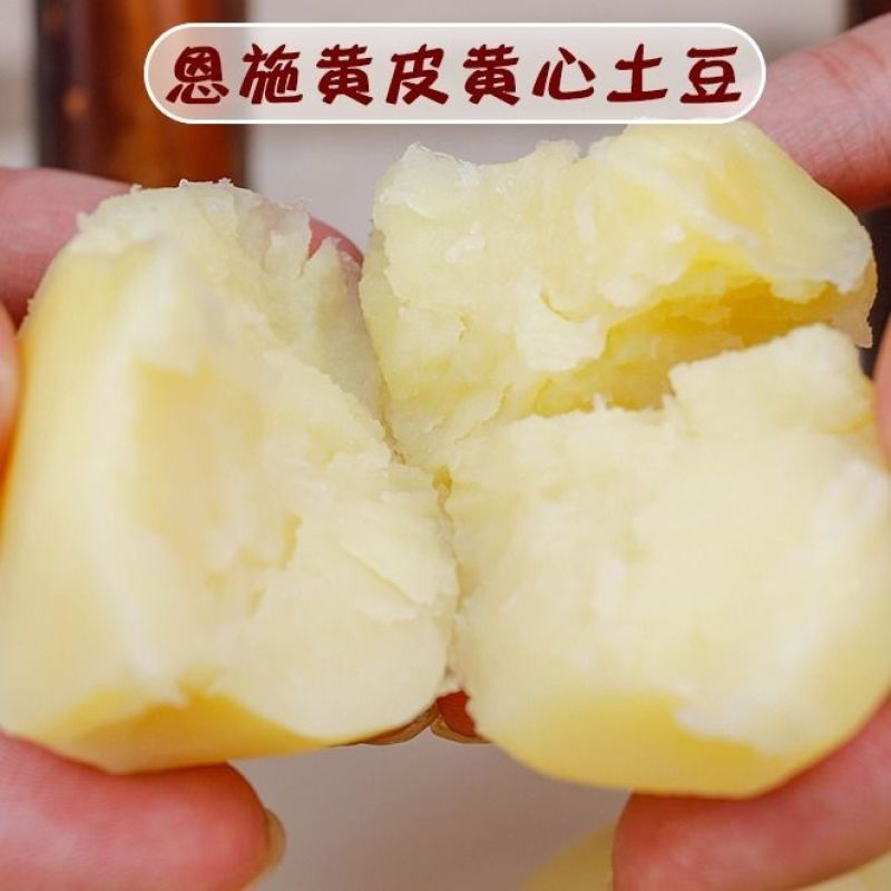 恩施农家产地直批脱水土豆片（洋芋片片）洋芋（洋芋果果）