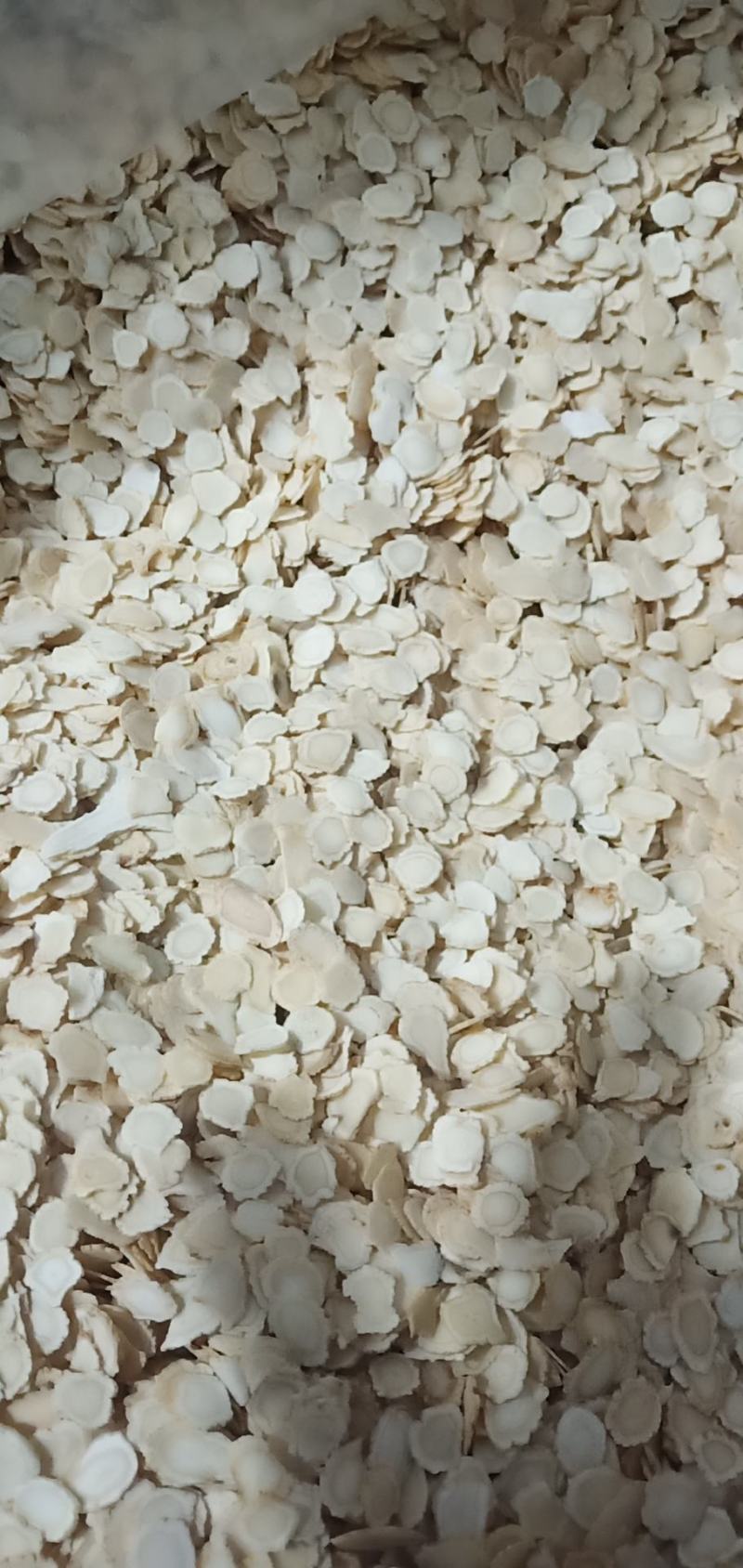 包邮西洋参片花旗参切片西洋参大片，软质片，优质片