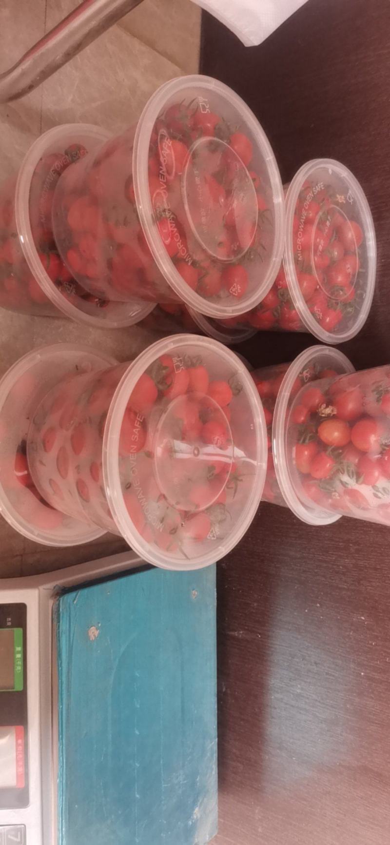 釜山88圣女果，小番茄产地直销第一层果少量网销