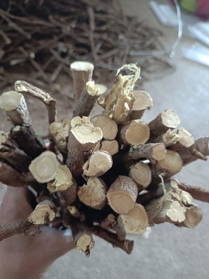 甘草高含量不一样的货欢迎选购甘草高含量不一样的