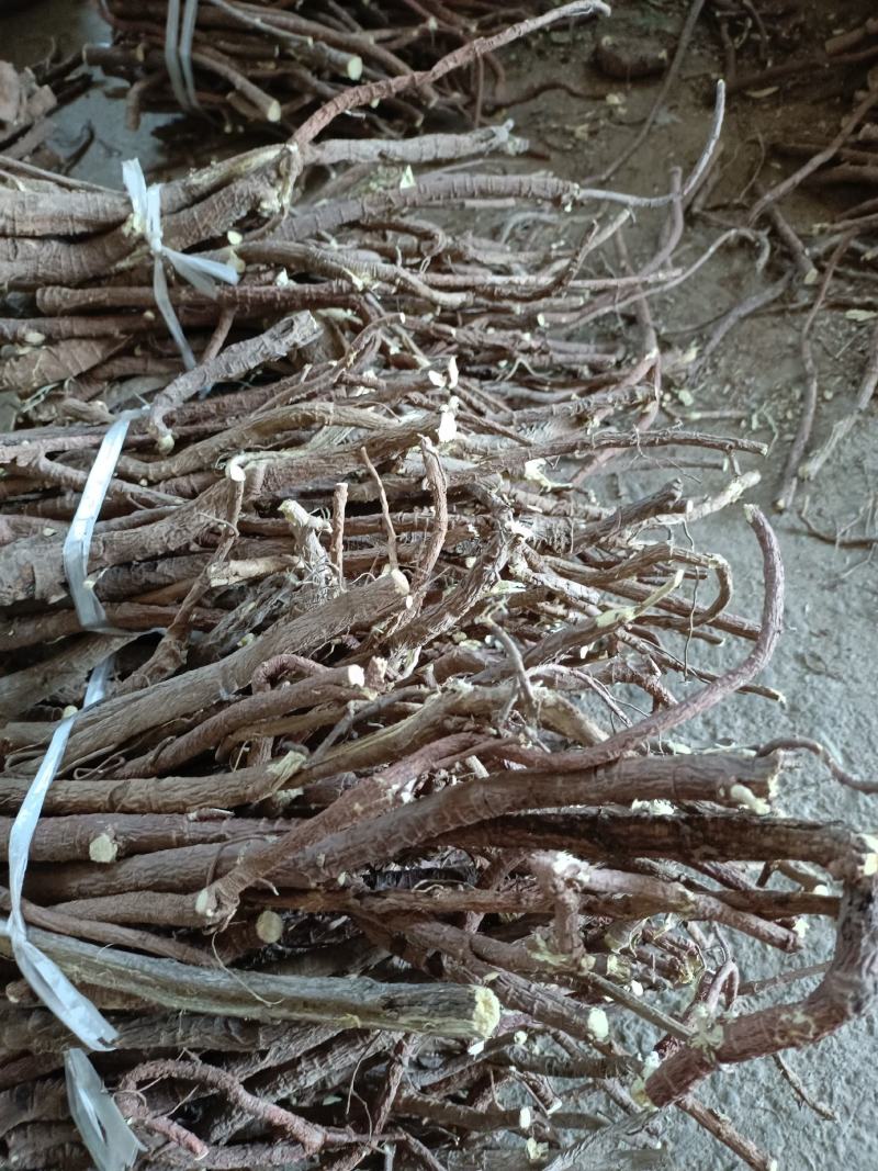 甘草高含量不一样的货欢迎选购甘草高含量不一样的