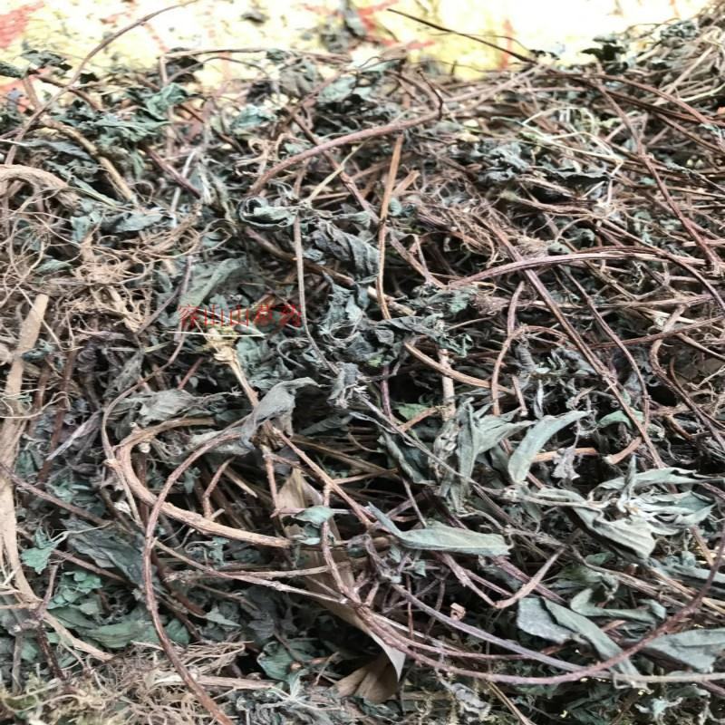 广西野生中草药材雾水葛糯米藤拔脓膏草