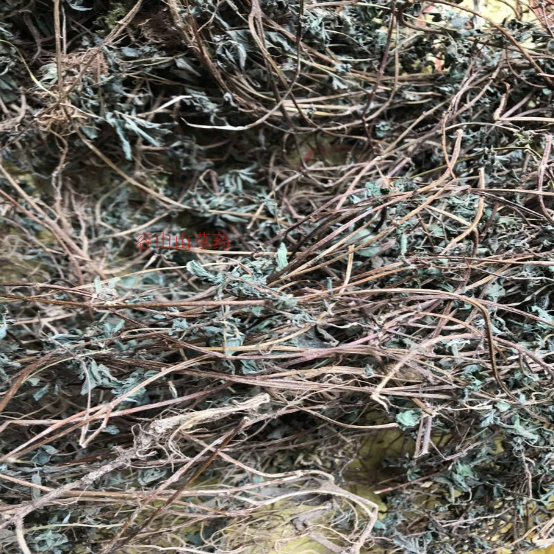 广西野生中草药材雾水葛糯米藤拔脓膏草