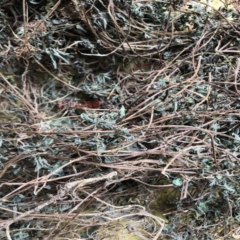 广西野生中草药材雾水葛糯米藤拔脓膏草