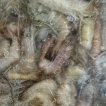 速冻淡水河1公斤装质量保证欢迎你的合作产地直销