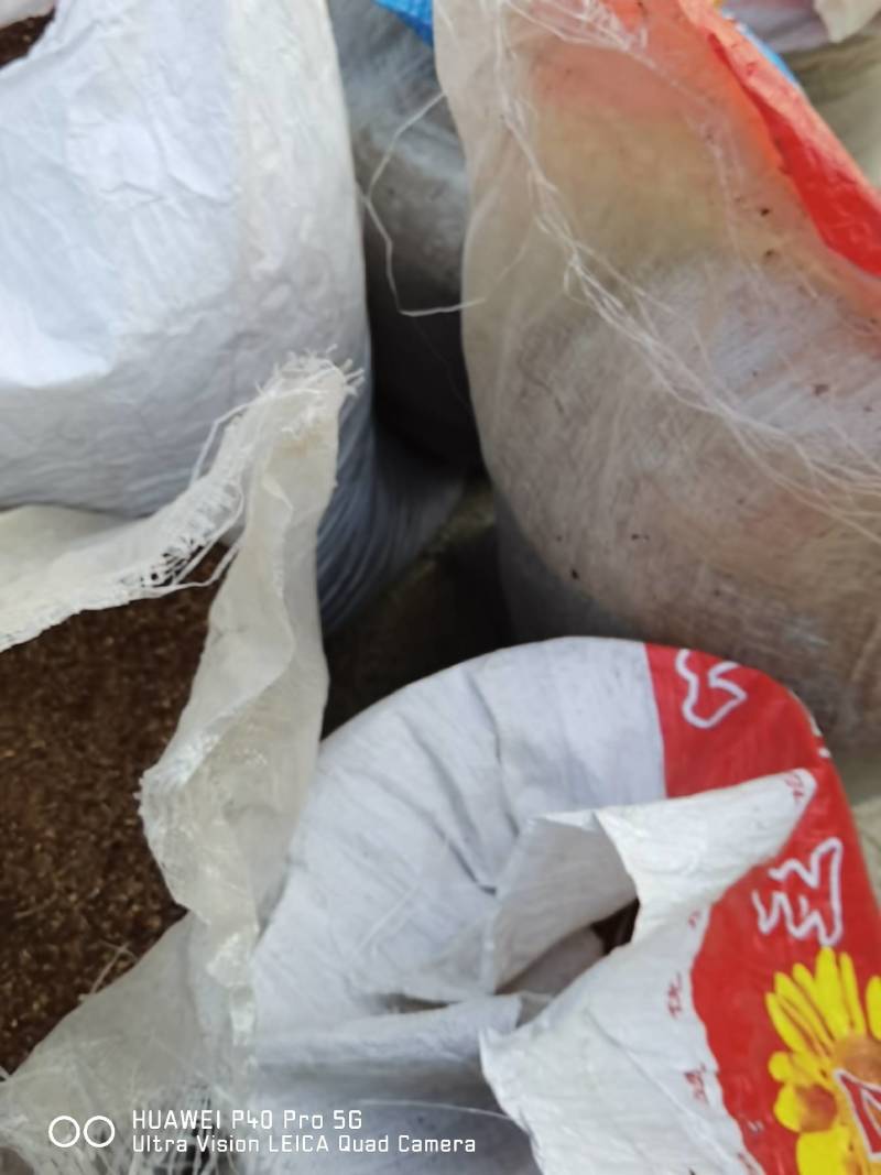 【荐】野生酸枣粉，酸枣面，产地自产饮料厂养殖场专用量大优
