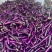 云南西双版纳.红茄烧烤茄大量上市对接市场超市电商加工厂