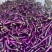 云南西双版纳.红茄烧烤茄大量上市对接市场超市电商加工厂