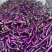 云南西双版纳.红茄烧烤茄大量上市对接市场超市电商加工厂