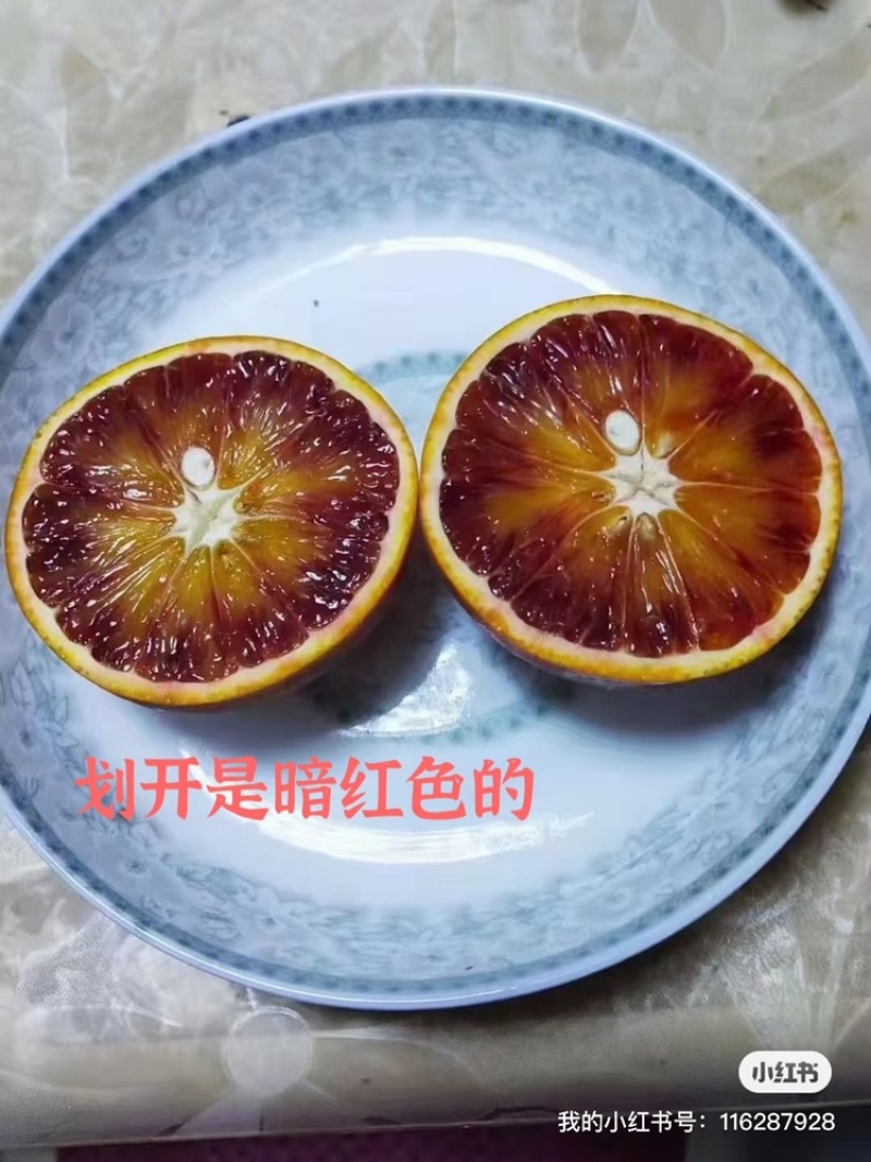 长寿湖血脐
