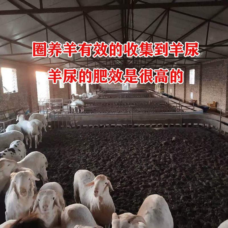 【优质】山东发酵羊粪服务优质低价精品打造渠道长期服务合作