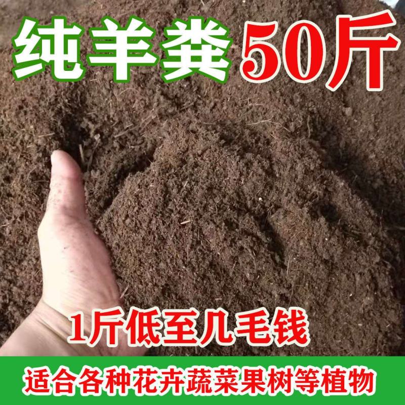 【优质】山东发酵羊粪服务优质低价精品打造渠道长期服务合作