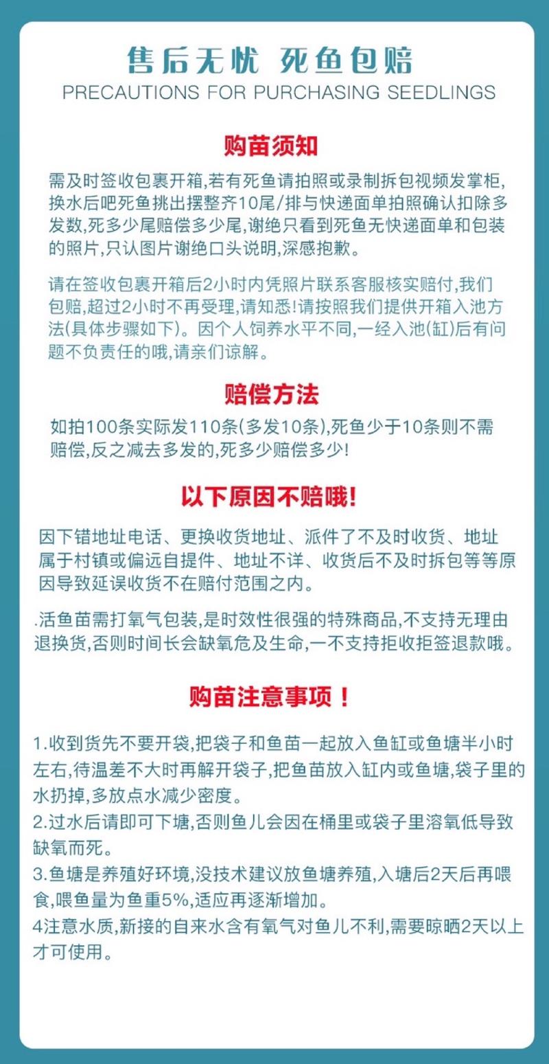 胭脂鱼苗一帆风顺鱼苗亚洲美人鱼苗清道夫冷水鱼食用观赏鱼