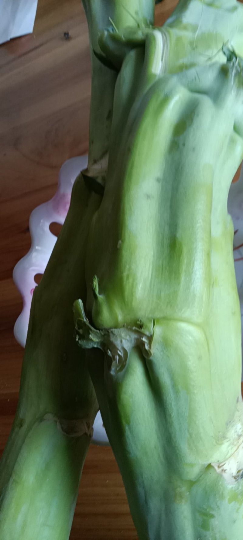 农民自种的菜棒棒菜棒芯，新鲜好吃10斤为—件包邮。
