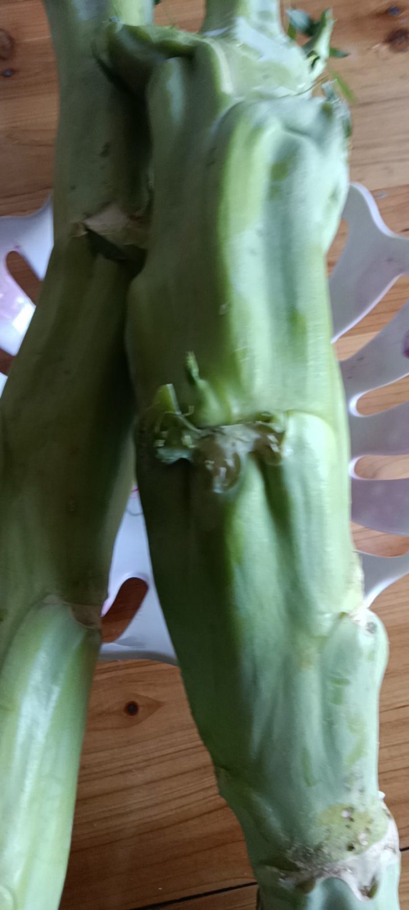 农民自种的菜棒棒菜棒芯，新鲜好吃10斤为—件包邮。