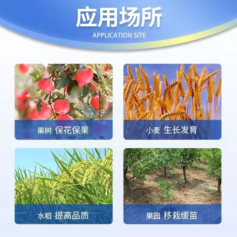 2.85%萘乙酸复硝酚钠生长调节剂催芽剂蔬菜生长素生根剂