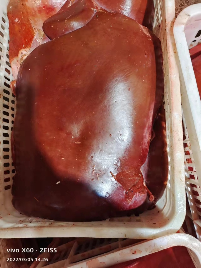 牛肝