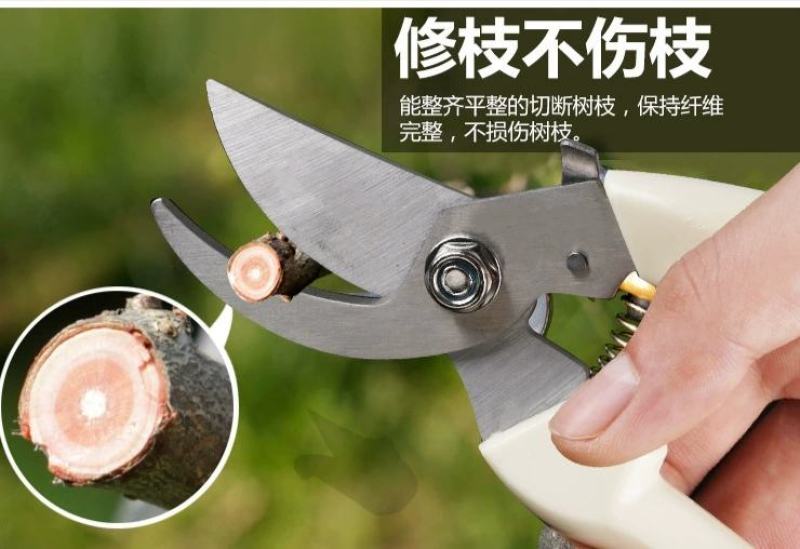 林太作不锈钢修枝剪多功能园艺剪刀果园花枝摘果剪园林树枝工
