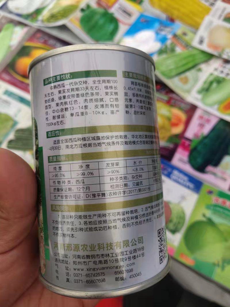 西农八号懒汉西瓜种子易管理含糖14度亩产14000斤皮薄