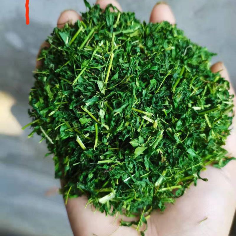 护肝茶