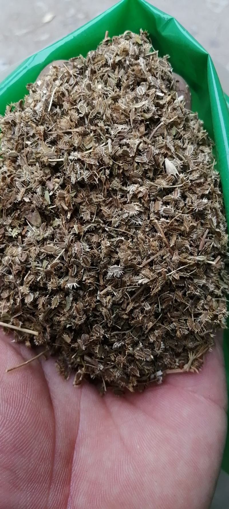 鹤虱鹤虱冷背药材齐全支持七天无理由退换货