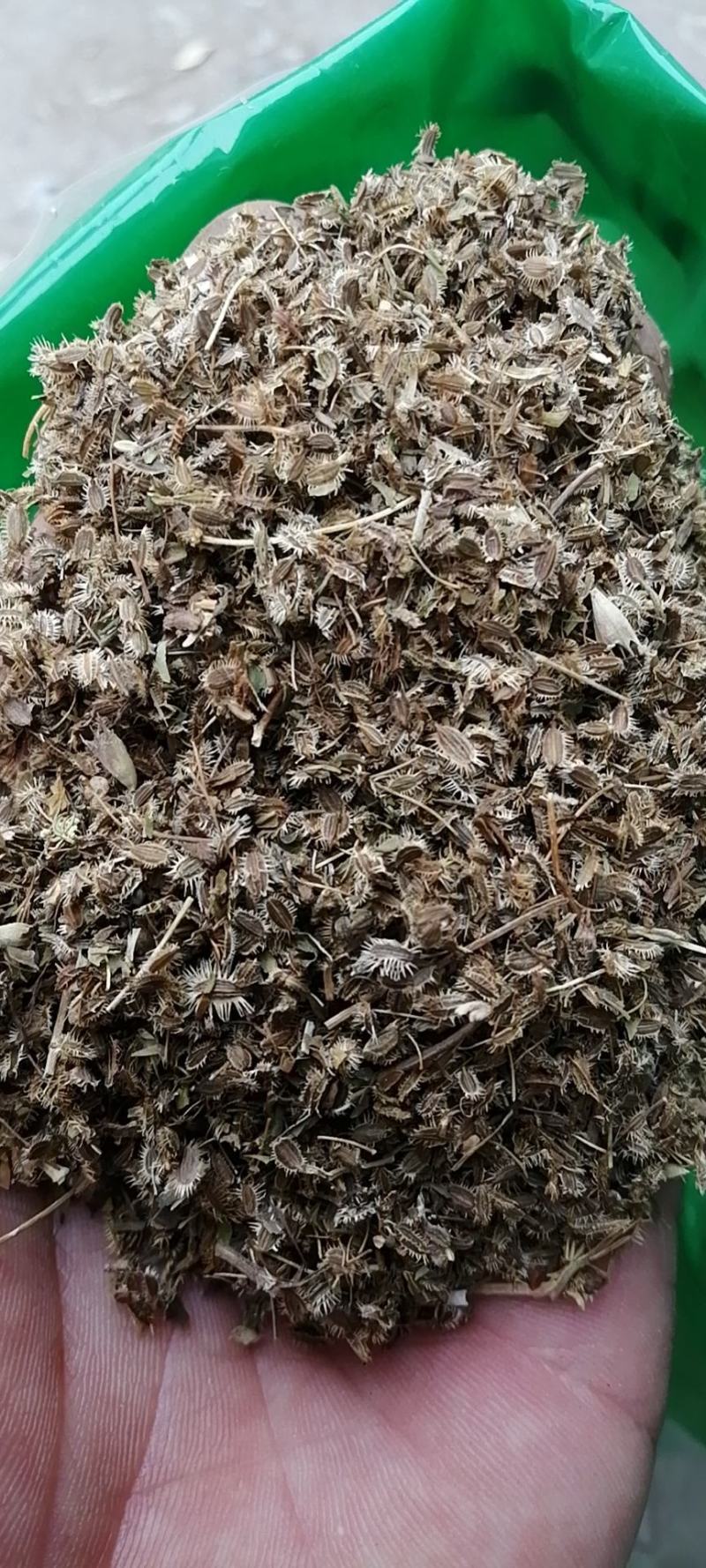鹤虱鹤虱冷背药材齐全支持七天无理由退换货