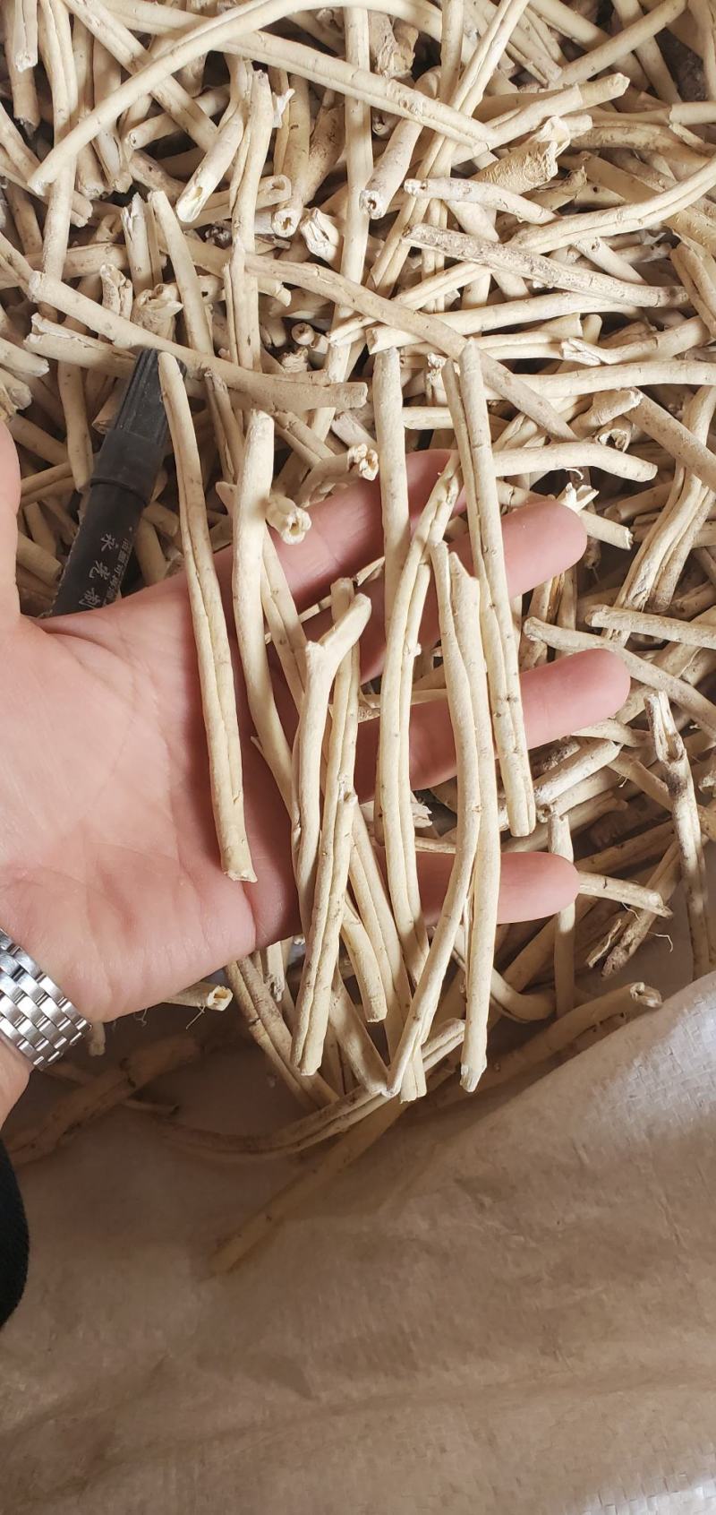黑龙江选货白鲜皮，点7以上大条，标准点6条，颜色白，外皮