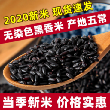 【包邮_5斤黑米饭】五常黑米5斤21年新米黑米