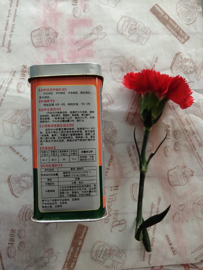 非州黑西瓜种大果型免打枝易管理含糖14度产量高抗病耐运输
