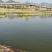 小龙虾，各种规格小龙虾苗，基地直供，量大直供