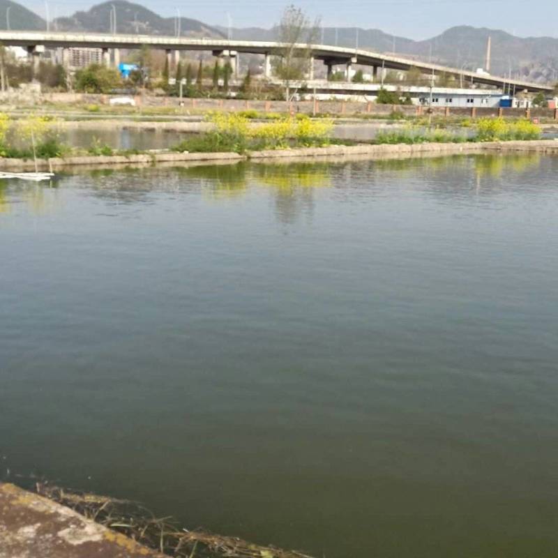 小龙虾，各种规格小龙虾苗，基地直供，量大直供
