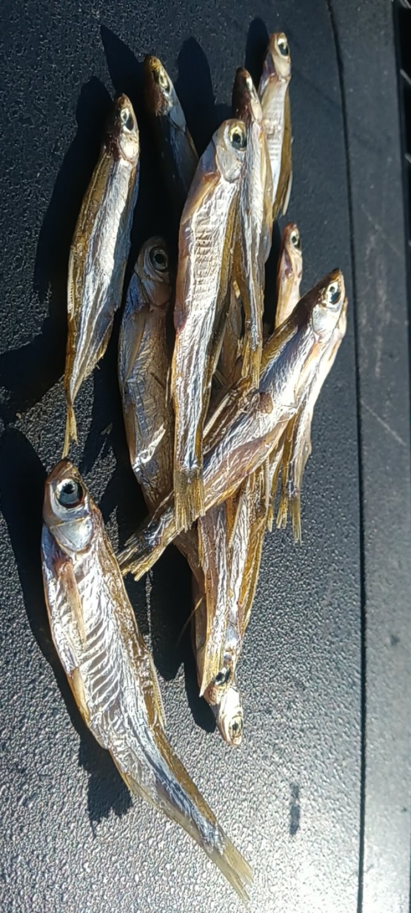 生晒小鱼干3一6公分纯淡干鱼猫粮，量大价优欢迎咨询下单