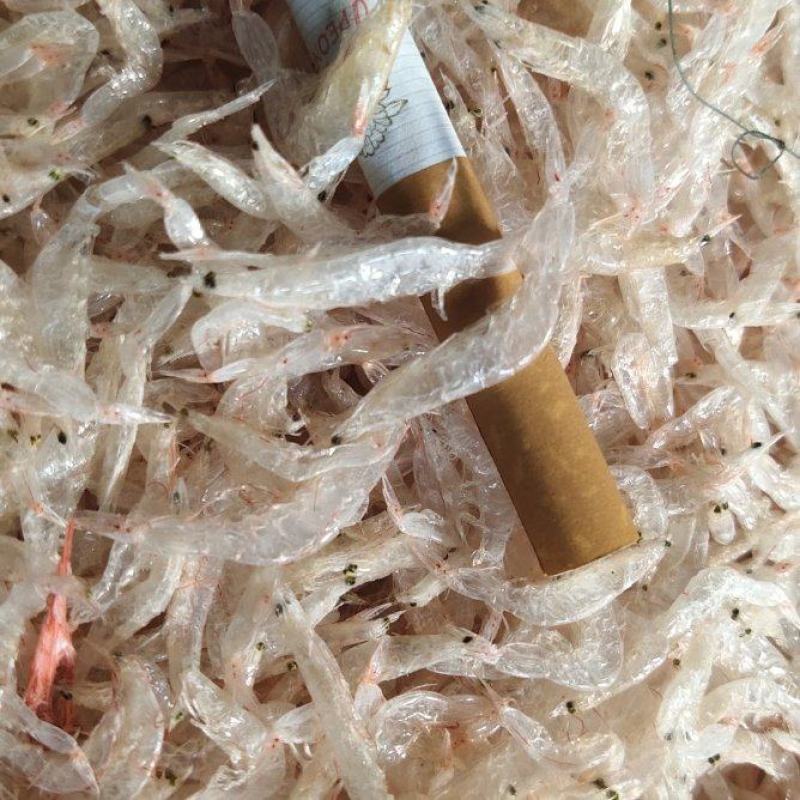 广东新鲜烘干生虾皮，足干，白净，煲汤鲜美放心食用