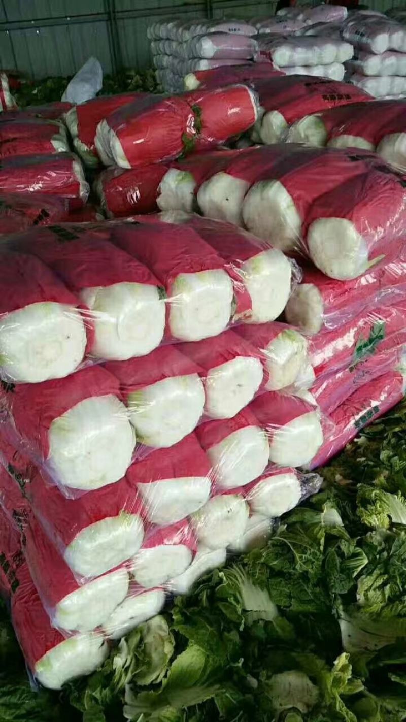 菊锦黄心大白菜，可实地看货，支持线上交易，保证质量一条龙