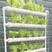 无土栽培蔬菜设备家庭阳台管道式水培种菜机自动化多层水耕种