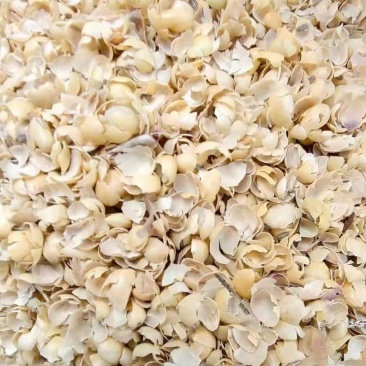 莘县豆皮