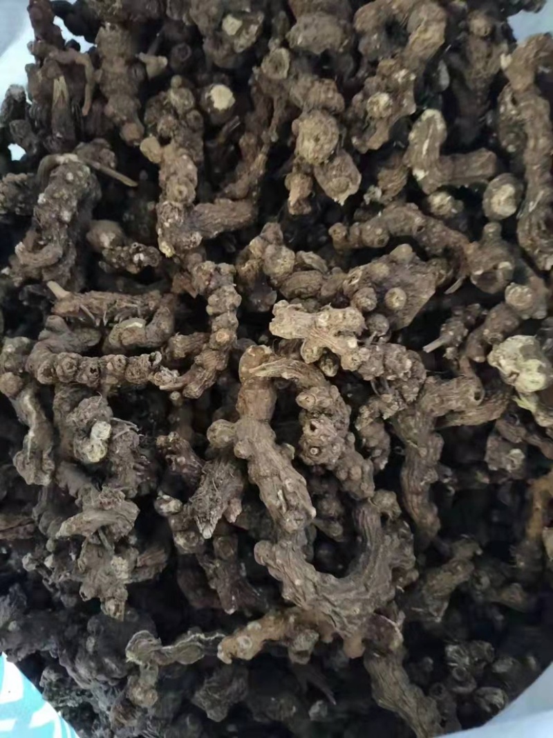 北苍术批发：产地直发，没有中间商赚差价。高含量达到