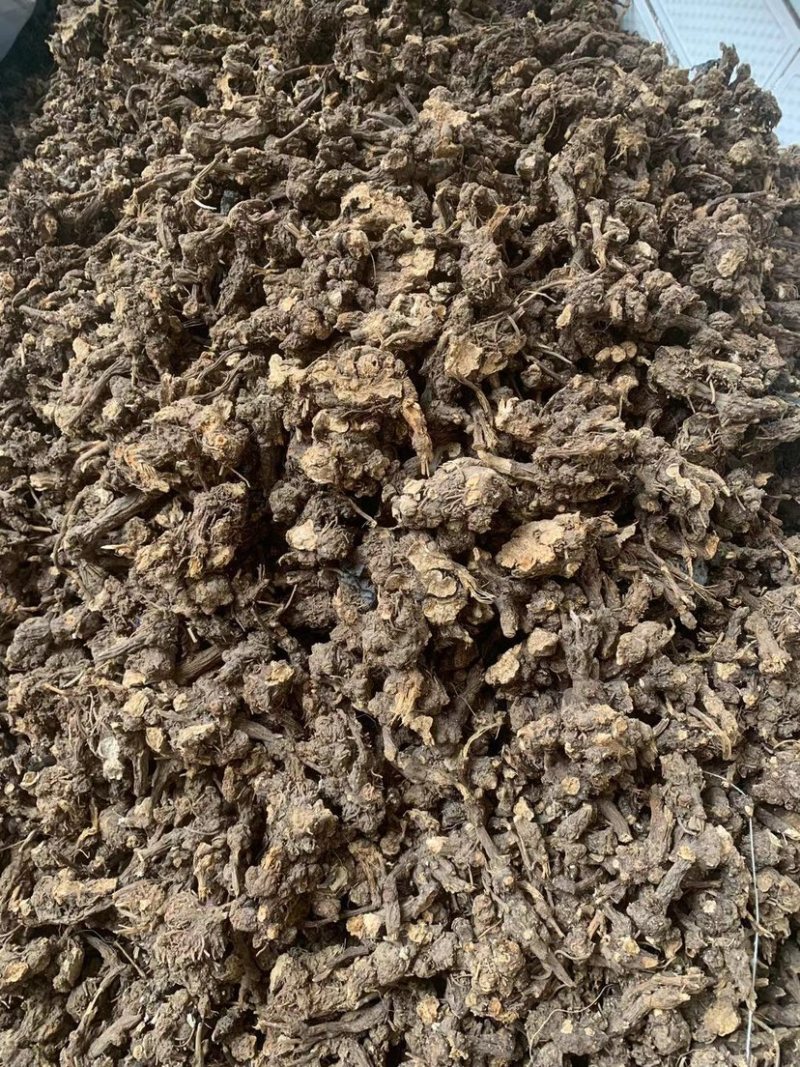 北苍术批发：产地直发，没有中间商赚差价。高含量达到