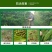 97%矿物油果树清园用柑橘苹果果园介壳虫红蜘蛛杀虫杀卵