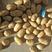 【土豆】荷兰十五土豆，黄皮黄心，产地批发，货源充足，价格便宜