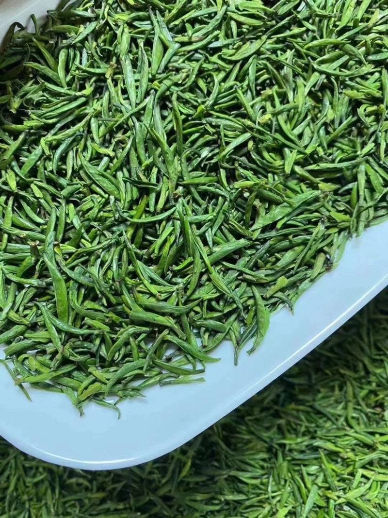 雀舌新茶礼盒装250g