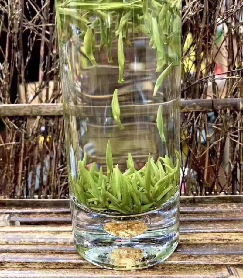 雀舌新茶礼盒装250g